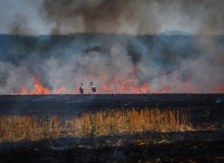 В Украине температура пробила отметку в +18 °C: антициклон «Конрад» принес тепло и новую опасность