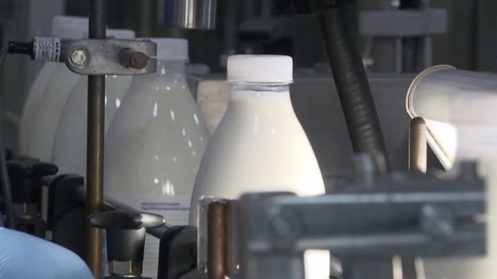 В России резко падает производство молока